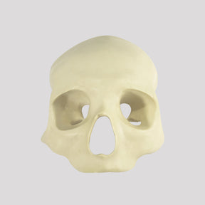 12258 - FRONTAL SKULL All-on-4® STANDARD RADIOPAQUE