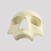 12258 - FRONTAL SKULL All-on-4® STANDARD RADIOPAQUE