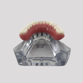 9569 - ACRYLIC MANDIBLE WITH PROTOCOL AND 5 IMPLANTS