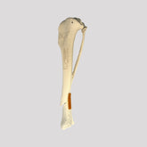 AV 210 ESPF5 - RIGHT CANINE TIBIA W/2031B - RIGHT TIBIA WITH MEDULLARY CANAL CANAL W/ DISTAL FRACTURE OBLIQUE SHORT