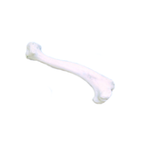 AV300P - RIGHT SMALL CANINE HUMERUS