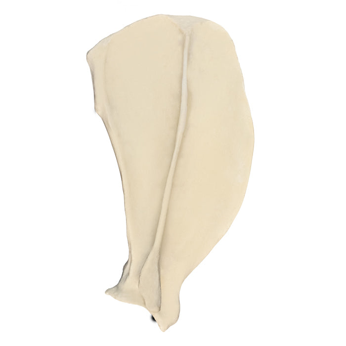 12518 - RADIOPAQUE RIGHT LARGE CANINE SCAPULA