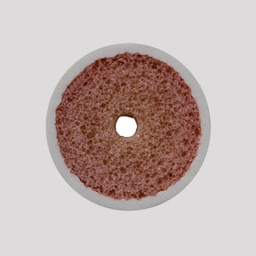 12520 - RADIOPAQUE RIGHT LARGE CANINE HUMERUS WITH MEDULLARY AND CANAL CANCELLOUS MATERIAL